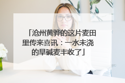 沧州黄骅的这片麦田里传来喜讯：一水未浇的旱碱麦丰收了