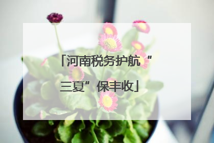 河南税务护航“三夏”保丰收