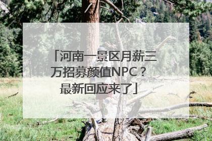 河南一景区月薪三万招募颜值NPC？最新回应来了