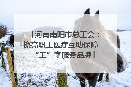 河南南阳市总工会：擦亮职工医疗互助保障“工”字服务品牌