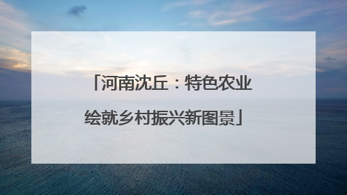河南沈丘：特色农业绘就乡村振兴新图景
