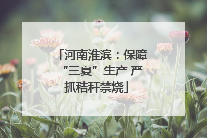 河南淮滨：保障“三夏”生产 严抓秸秆禁烧