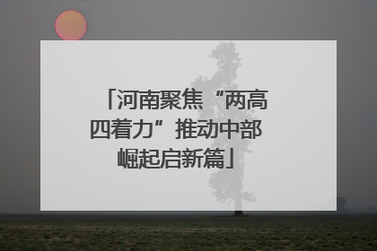 河南聚焦“两高四着力”推动中部崛起启新篇