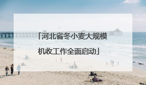 河北省冬小麦大规模机收工作全面启动