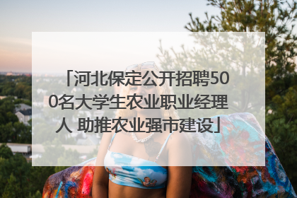 河北保定公开招聘500名大学生农业职业经理人 助推农业强市建设