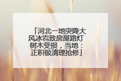 河北一地突降大风冰雹致房屋路灯树木受损，当地：正积极清理抢修