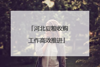 河北夏粮收购工作高效推进