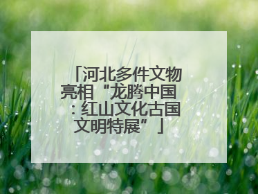 河北多件文物亮相“龙腾中国：红山文化古国文明特展”