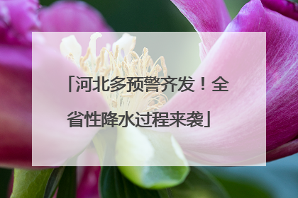 河北多预警齐发！全省性降水过程来袭