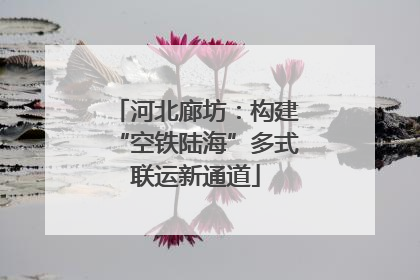 河北廊坊：构建“空铁陆海”多式联运新通道