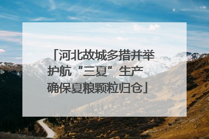 河北故城多措并举护航“三夏”生产 确保夏粮颗粒归仓
