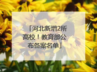 河北新增2所高校！教育部公布备案名单