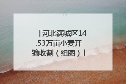 河北满城区14.53万亩小麦开镰收割（组图）