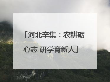 河北辛集：农耕砺心志 研学育新人