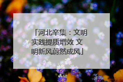河北辛集：文明实践提质增效 文明新风蔚然成风