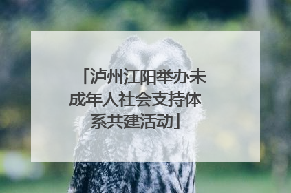 泸州江阳举办未成年人社会支持体系共建活动