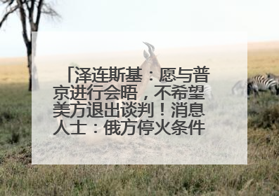 泽连斯基：愿与普京进行会晤，不希望美方退出谈判！消息人士：俄方停火条件包括北约“书面”保证不东扩