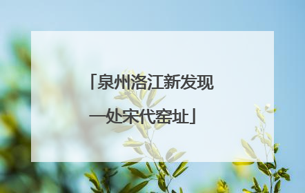 泉州洛江新发现一处宋代窑址