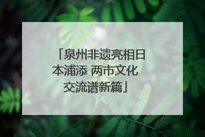 泉州非遗亮相日本浦添 两市文化交流谱新篇