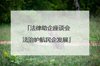法律助企座谈会 法治护航民企发展