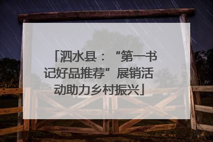 泗水县：“第一书记好品推荐”展销活动助力乡村振兴