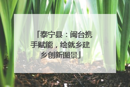 泰宁县：闽台携手赋能，绘就乡建乡创新图景