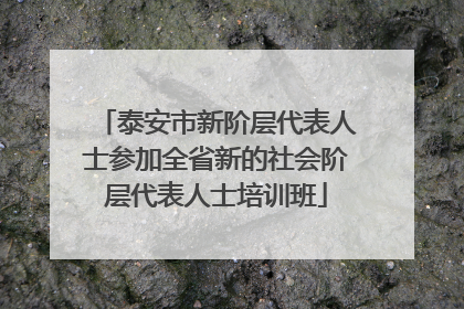 泰安市新阶层代表人士参加全省新的社会阶层代表人士培训班