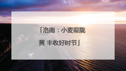 洛南：小麦覆陇黄 丰收好时节
