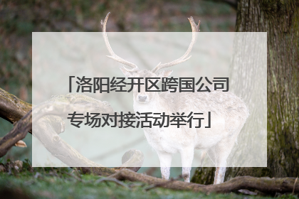 洛阳经开区跨国公司专场对接活动举行