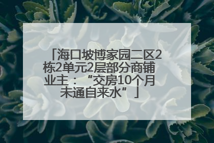 海口坡博家园二区2栋2单元2层部分商铺业主：“交房10个月未通自来水”