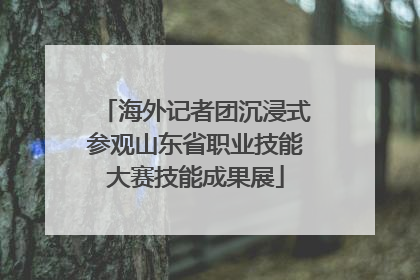 海外记者团沉浸式参观山东省职业技能大赛技能成果展