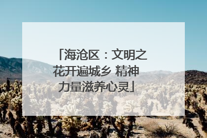 海沧区：文明之花开遍城乡 精神力量滋养心灵