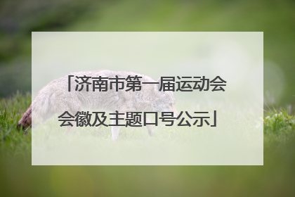 济南市第一届运动会会徽及主题口号公示