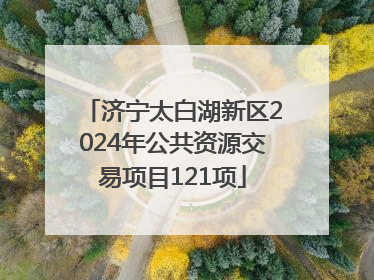 济宁太白湖新区2024年公共资源交易项目121项