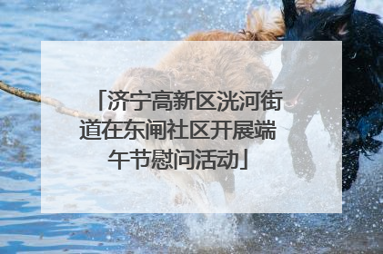 济宁高新区洸河街道在东闸社区开展端午节慰问活动