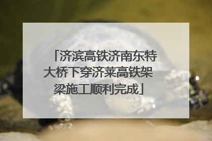 济滨高铁济南东特大桥下穿济莱高铁架梁施工顺利完成