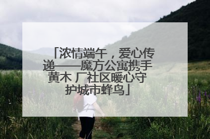 浓情端午，爱心传递——魔方公寓携手黄木 厂社区暖心守护城市蜂鸟