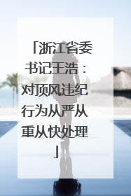 浙江省委书记王浩：对顶风违纪行为从严从重从快处理
