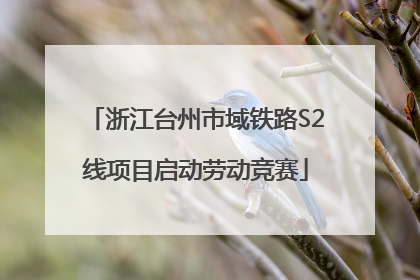 浙江台州市域铁路S2线项目启动劳动竞赛