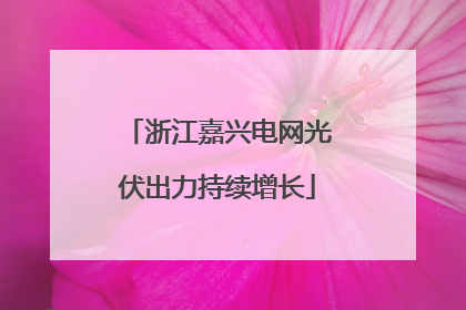 浙江嘉兴电网光伏出力持续增长