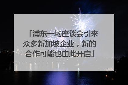 浦东一场座谈会引来众多新加坡企业，新的合作可能也由此开启