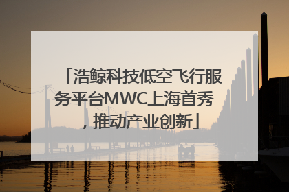 浩鲸科技低空飞行服务平台MWC上海首秀，推动产业创新