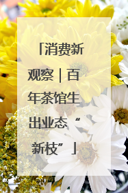 消费新观察｜百年茶馆生出业态“新枝”