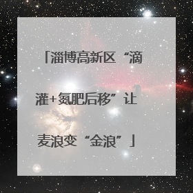 淄博高新区“滴灌+氮肥后移”让麦浪变“金浪”