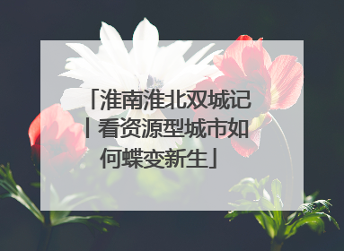 淮南淮北双城记丨看资源型城市如何蝶变新生