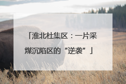 淮北杜集区：一片采煤沉陷区的“逆袭”