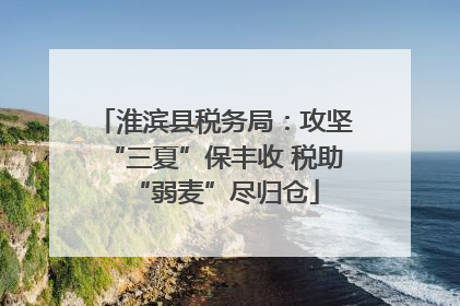 淮滨县税务局：攻坚“三夏”保丰收 税助“弱麦”尽归仓