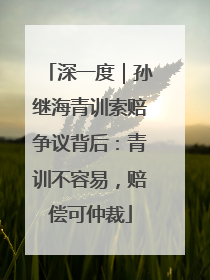深一度｜孙继海青训索赔争议背后：青训不容易，赔偿可仲裁