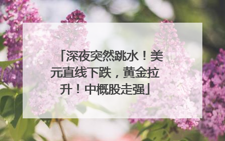深夜突然跳水！美元直线下跌，黄金拉升！中概股走强