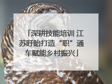 深耕技能培训 江苏盱眙打造“职”通车赋能乡村振兴